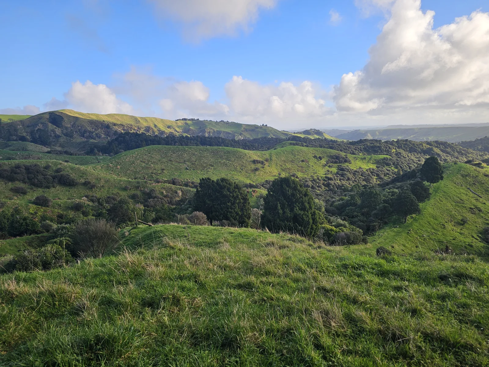 North Island, New Zealand